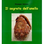 Il segreto dell’anello (racconto)